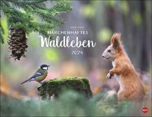 Vadim Trunov: Märchenhaftes Waldleben Posterkalender 2024