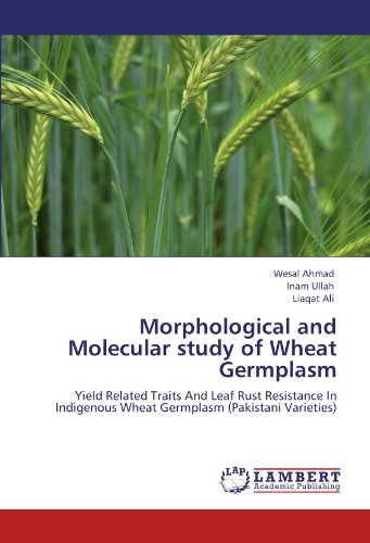 Morphological and Molecular study of Wheat Germplasm: Yield Related Traits And Leaf Rust Resistance In Indigenous Wheat Germplasm (Pakistani Varieties)