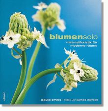 blumensolo - Minimalfloristik für moderne Räume