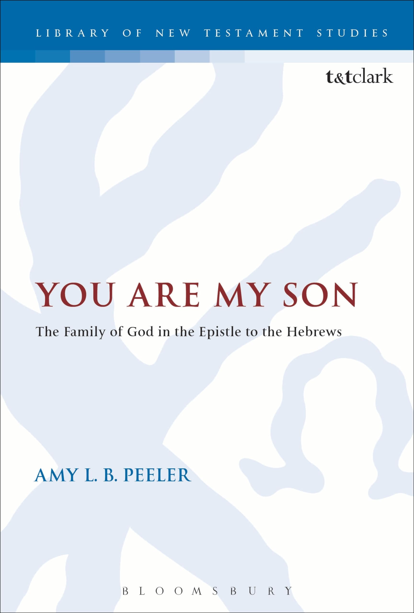 You Are My Son: The Family of God in the Epistle to the Hebrews (The Library of New Testament Studies)