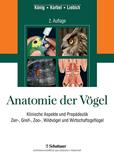 Anatomie der Vögel
