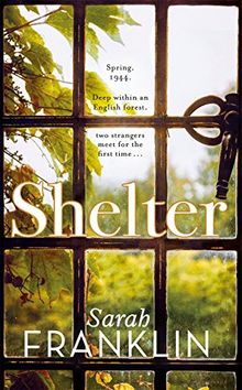 Shelter: `One of the year's hottest debuts'