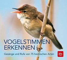 Vogelstimmen erkennen / CD: Gesänge und Rufe von 75 heimischen Arten von Schulze, Andreas | Buch | Zustand sehr gut