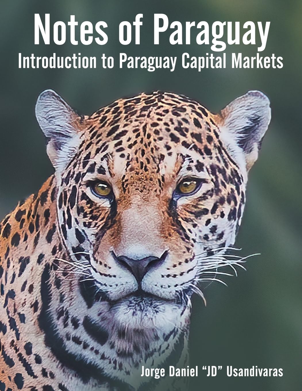 Notes of Paraguay: Introduction to Paraguay Capital Markets