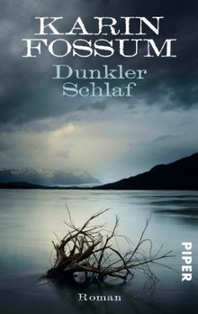 Dunkler Schlaf: Roman