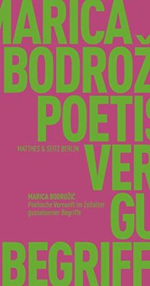 Poetische Vernunft im Zeitalter gusseiserner Begriffe (Fröhliche Wissenschaft)