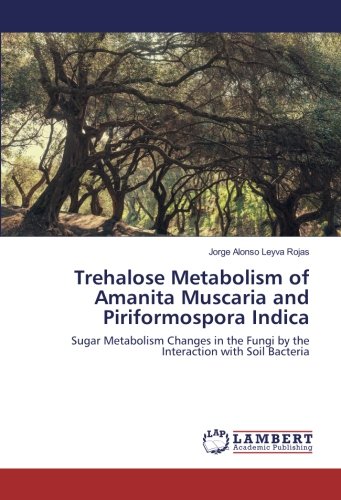Trehalose Metabolism of Amanita Muscaria and Piriformospora Indica: Sugar Metabolism Changes in the Fungi by the Interaction with Soil Bacteria