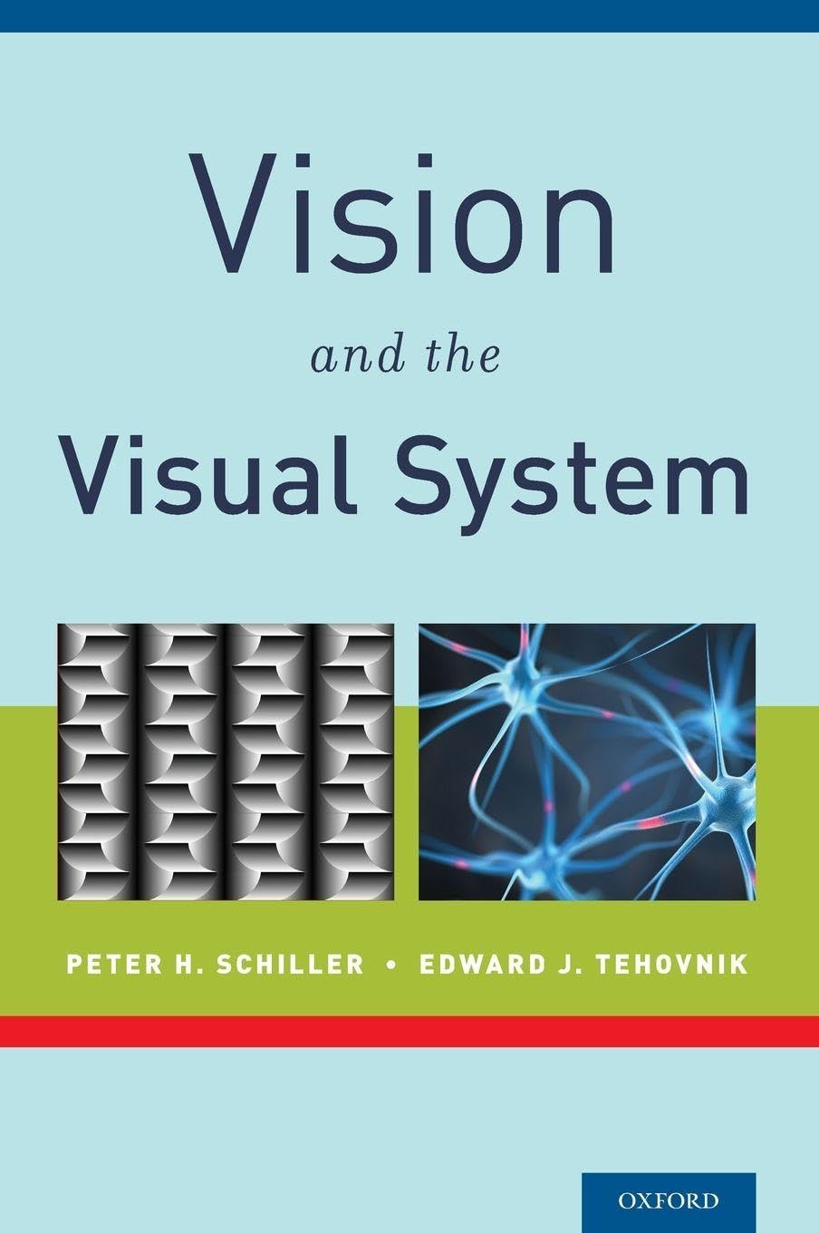 VISION AND THE VISUAL SYSTEM C