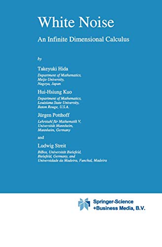 White Noise: An Infinite Dimensional Calculus (Mathematics and Its Applications, 253, Band 253)