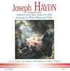 Haydn Sonate für Flöte, Klavier und