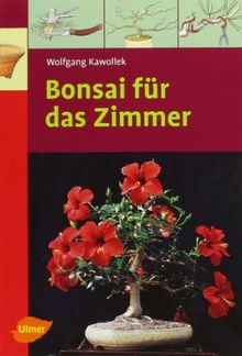 Bonsai für das Zimmer