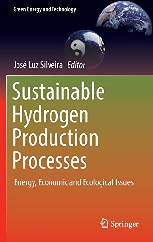 Sustainable Hydrogen Production Processes: Energy, Economic and Ecological Issues (Green Energy and Technology)