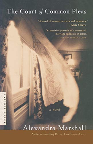 The Court of Common Pleas: A Novel