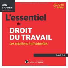 L'essentiel du droit du travail : les relations individuelles : 2022-2023