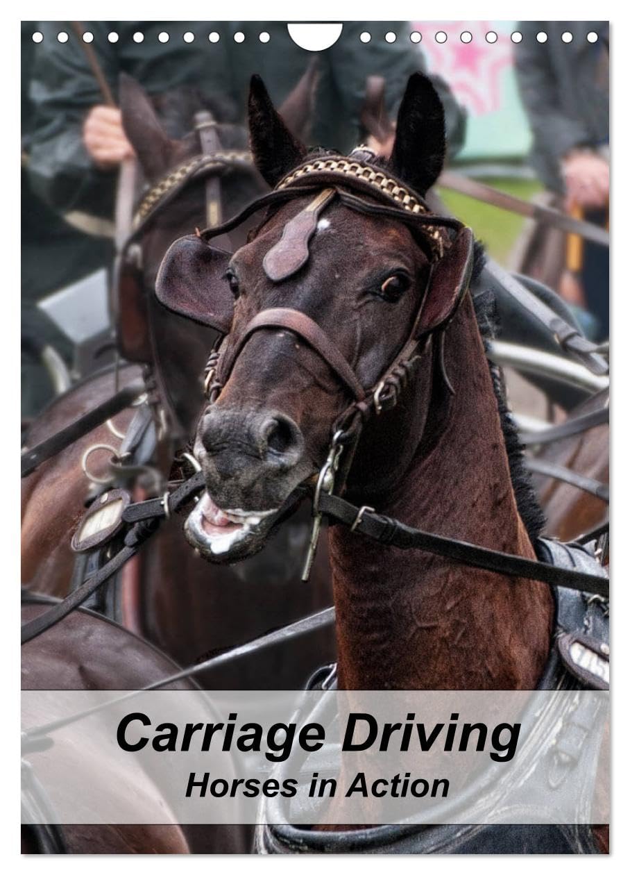 Carriage Driving - Horses in Action (Wall Calendar 2026 DIN A4 portrait), CALVENDO 12 Month Wall Calendar: Active horses in training for carriage driving sport.