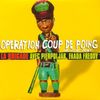 Operation Coup De Poing