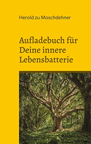Aufladebuch für Deine innere Lebensbatterie: Heilung - Stärkung - Ausstrahlung
