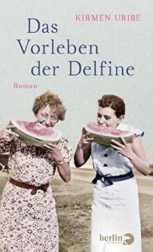 Das Vorleben der Delfine: Roman | Eine Frau kämpft für Frieden und Gerechtigkeit von Uribe, Kirmen | Buch | Zustand sehr gut