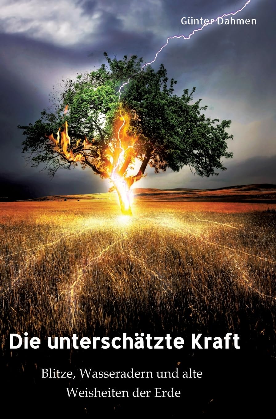 Die unterschätzte Kraft: Blitze, Wasseradern und alte Weisheiten der Erde