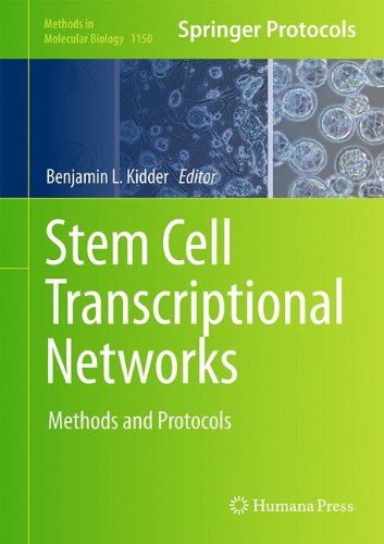 Stem Cell Transcriptional Networks: Methods and Protocols (Methods in Molecular Biology)