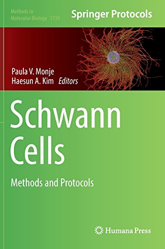 Schwann Cells: Methods and Protocols (Methods in Molecular Biology, Band 1739)