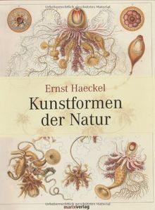 Kunstformen der Natur