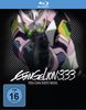 Evangelion: 3.33 - You can (not) redo [Blu-ray]