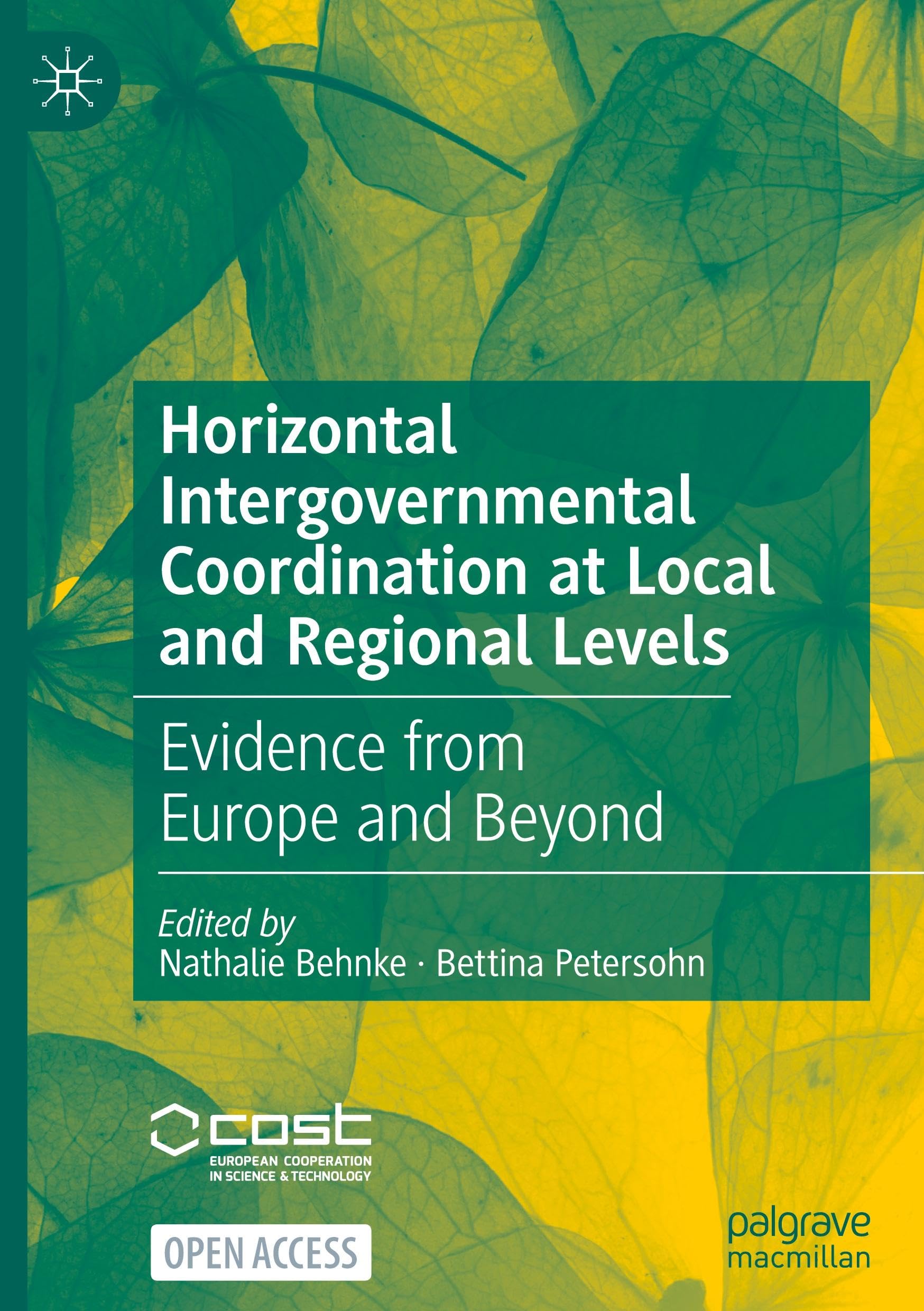 Horizontal Intergovernmental Coordination at Local and Regional Levels: Evidence from Europe and Beyond