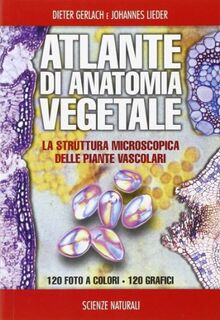 Atlante di anatomia vegetale