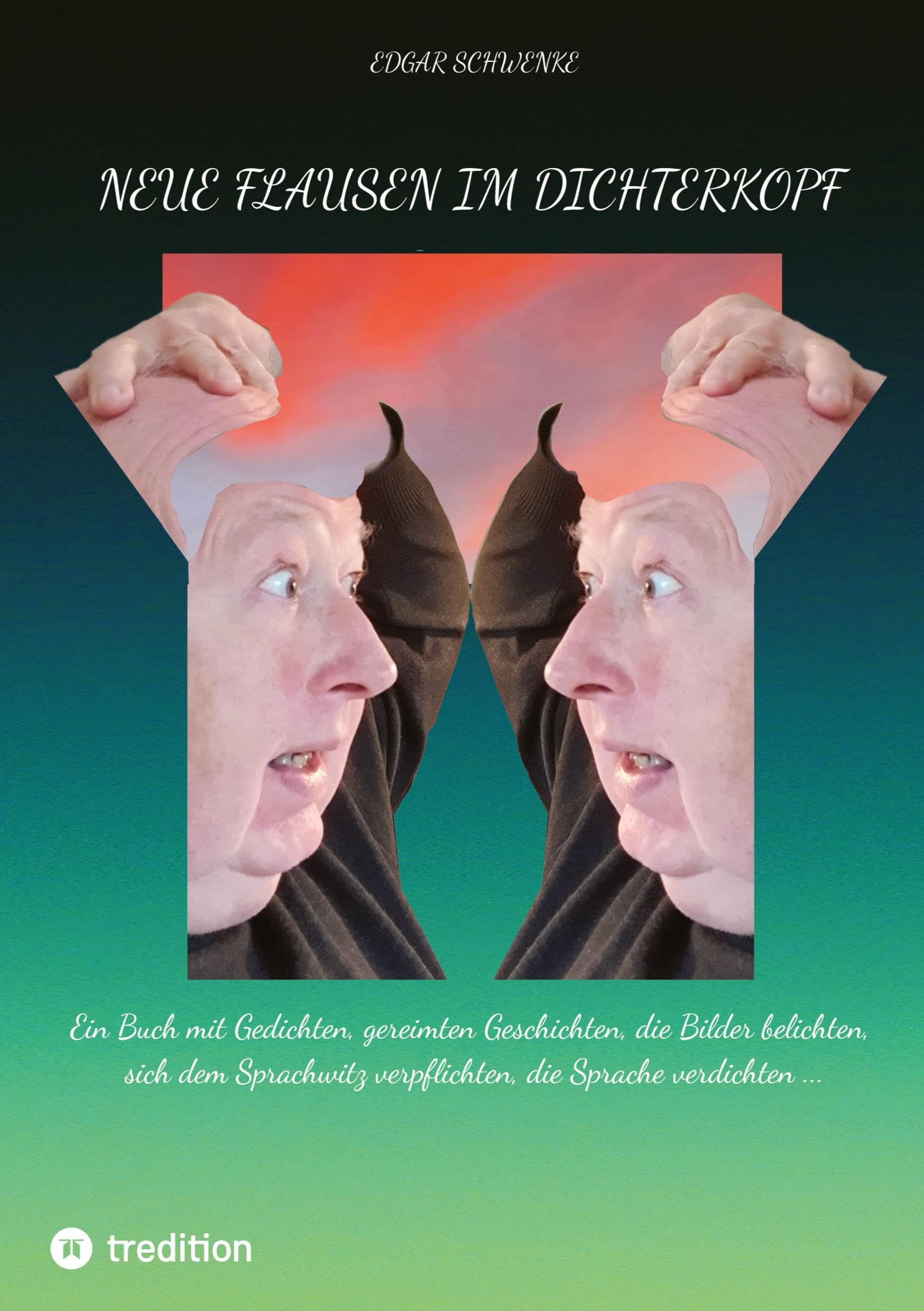 Neue Flausen im Dichterkopf: Ein Buch mit Gedichten, gereimten Geschichten, die Bilder belichten, sich dem Sprachwitz verpflichten, die Sprache verdichten