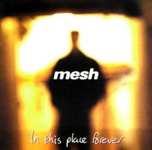 In This Place Forever