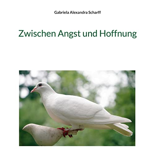Zwischen Angst und Hoffnung: DE