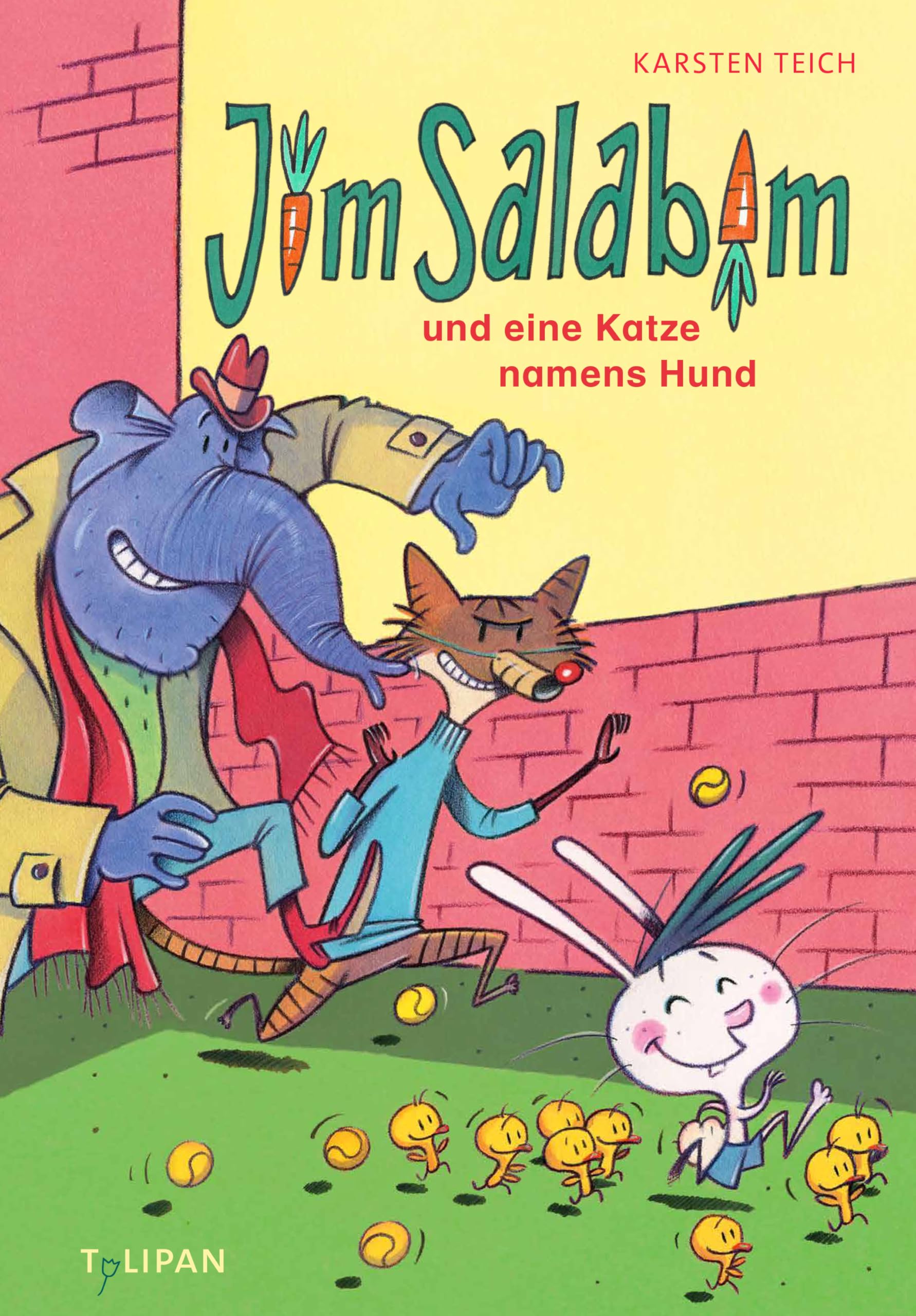 Jim Salabim und eine Katze namens Hund: Das zweite Abenteuer vom frechen Hasen Jim Salabim für Erstleser ab 5 Jahren (Die Jim Salabim-Reihe, Band 2)