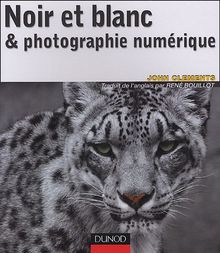 Noir et blanc et photographie numérique