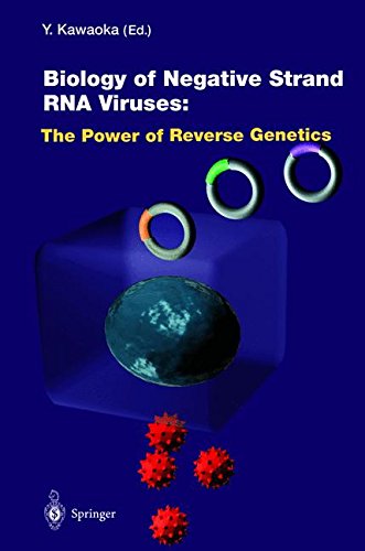 Biology of Negative Strand RNA Viruses: The Power of Reverse Genetics (Current Topics in Microbiology and Immunology)
