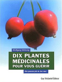 Dix plantes médicinales pour vous guérir : elles poussent près de chez vous !
