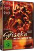 GISAKU und das magische Tor (DVD)