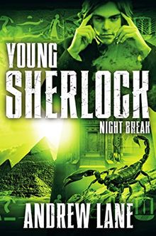 Night Break (Young Sherlock Holmes, Band 8)