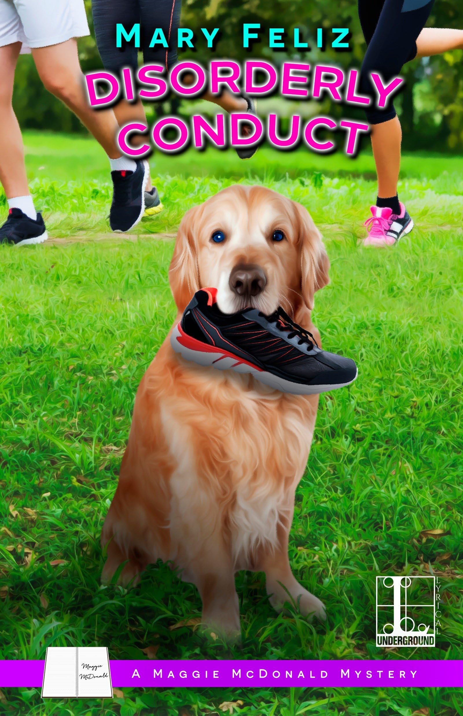 Disorderly Conduct (A Maggie McDonald Mystery, Band 4)