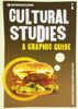 Introducing Cultural Studies (Introducing (Icon Books))