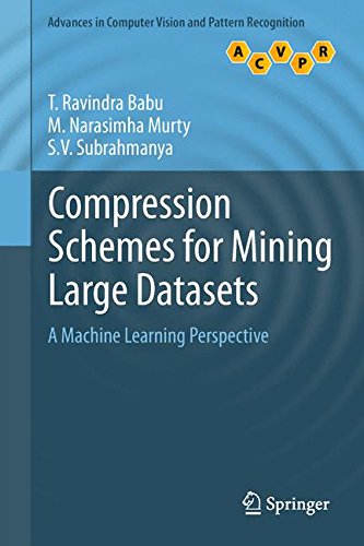 Compression Schemes for Mining Large Datasets: A Machine Learning Perspective (Advances in Computer Vision and Pattern Recognition)