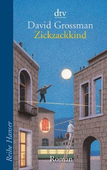 Zickzackkind von Grossman, David | Buch | Zustand gut