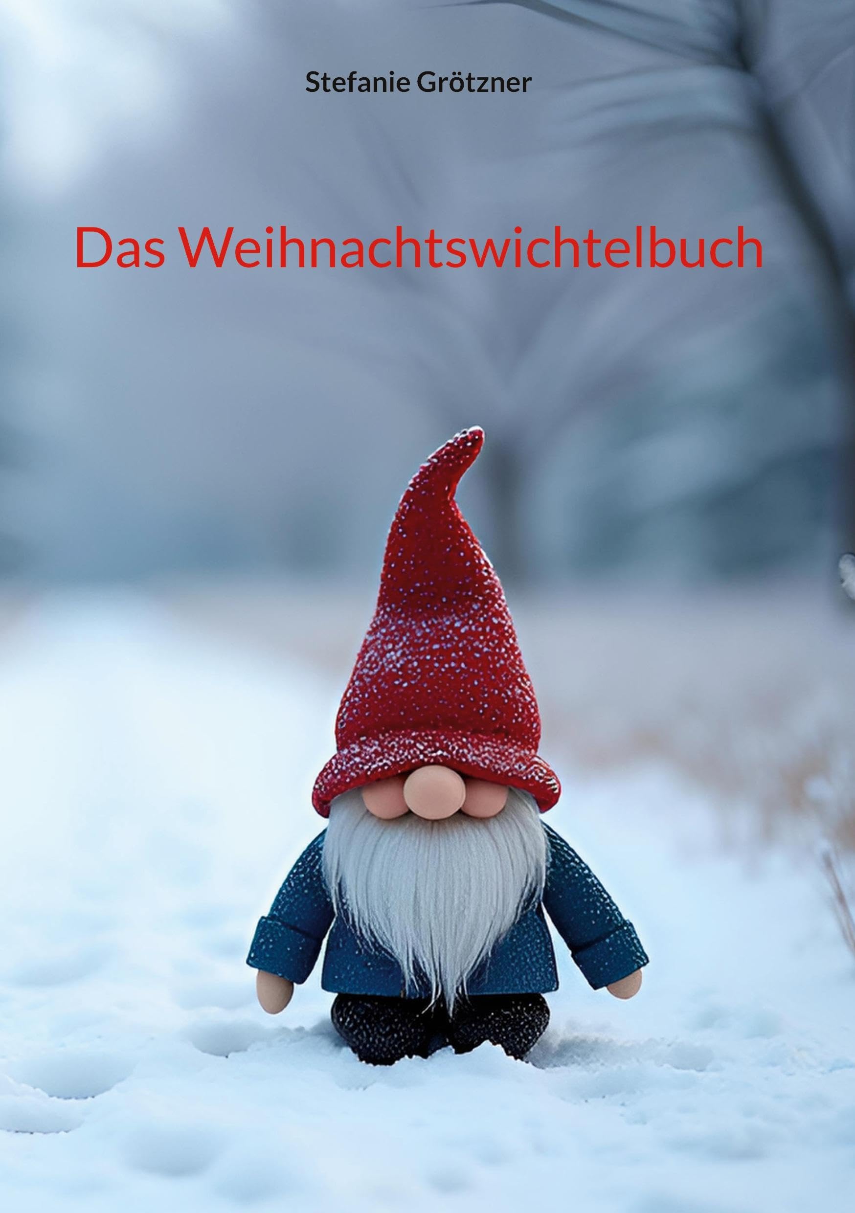 Das Weihnachtswichtelbuch - Neuware