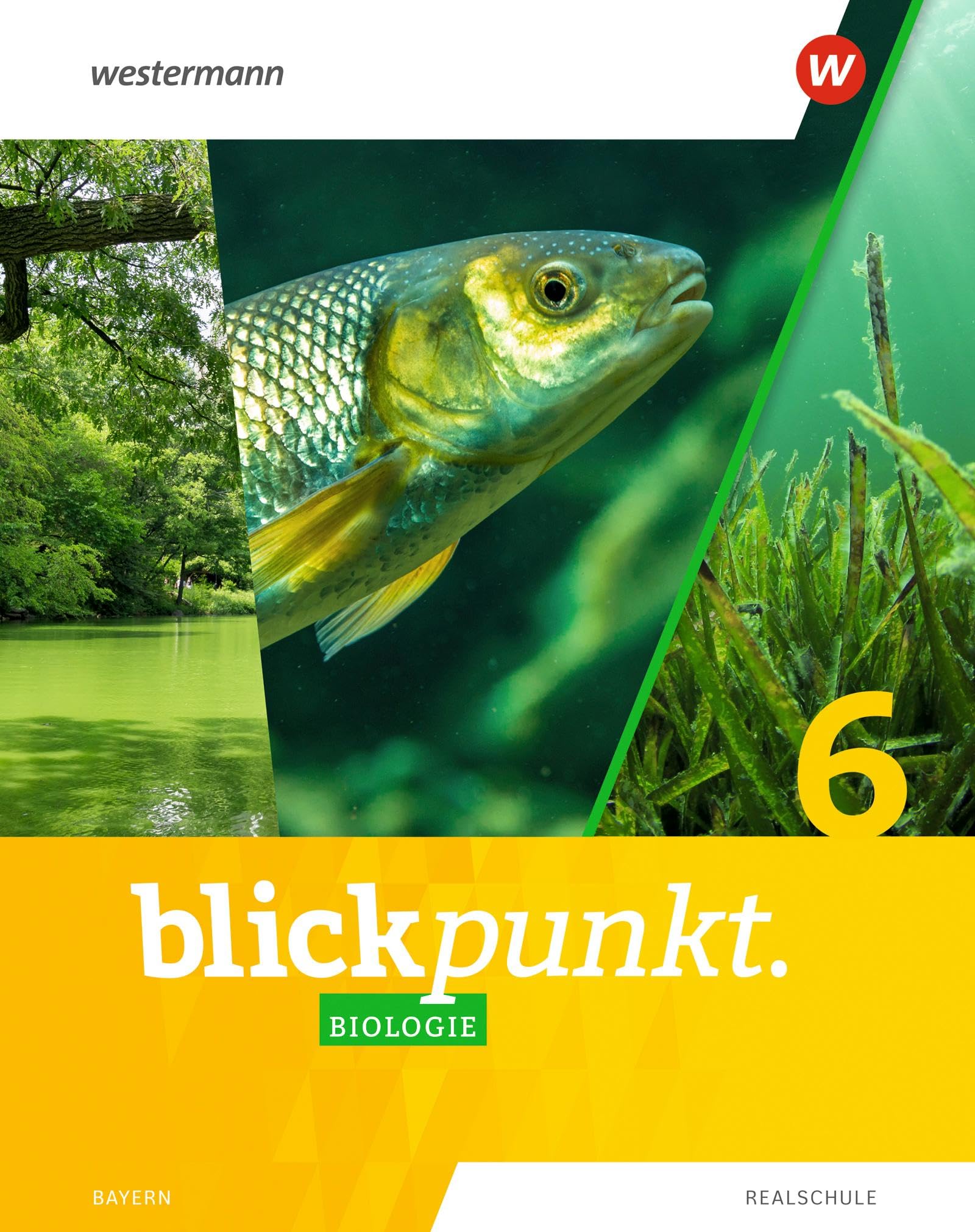 Blickpunkt Biologie - Ausgabe 2022 für Realschulen in Bayern: Schulbuch 6