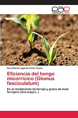 Eficiencia del hongo micorrícico (Glomus fasciculatum): En el rendimiento de forraje y grano de maíz forrajero (Zea mays L.)