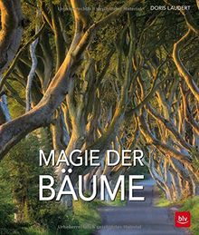 Magie der Bäume