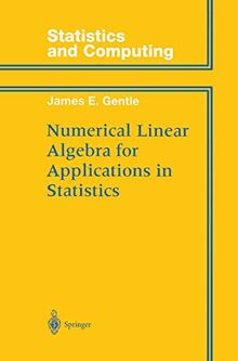 Numerical Linear Algebra for Applications in Statistics (Statistics and Computing)