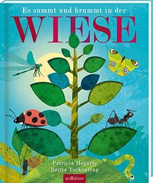Es summt und brummt in der WIESE: Gereimtes Natur-Bilderbuch über Insekten, mit Gucklöchern, hochwertig ausgestattet, ab 3 Jahren