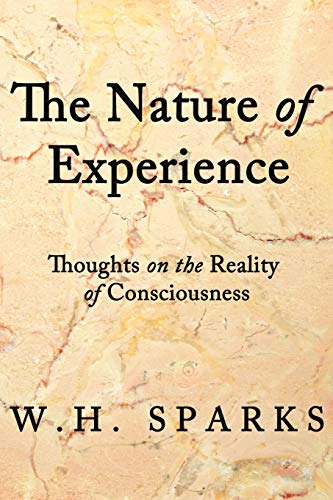 The Nature Of Experience: Thoughts on the Reality of Consciousness