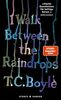 I walk between the Raindrops. Stories: , deutsche Ausgabe